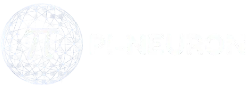 PI-NEURON